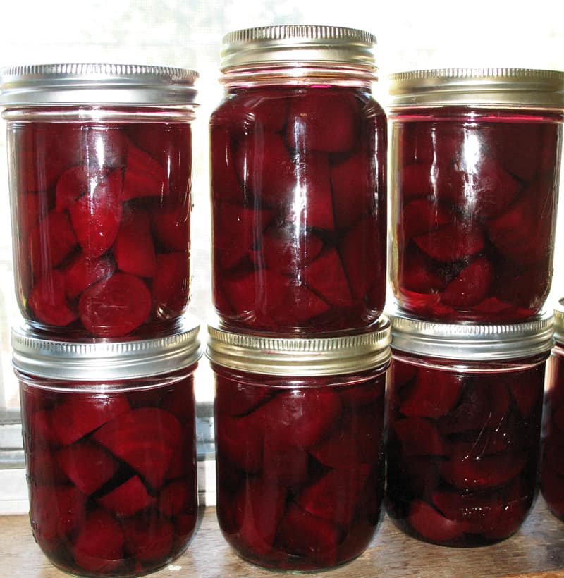 Half the stash of pickled beets I canned this past weekend.