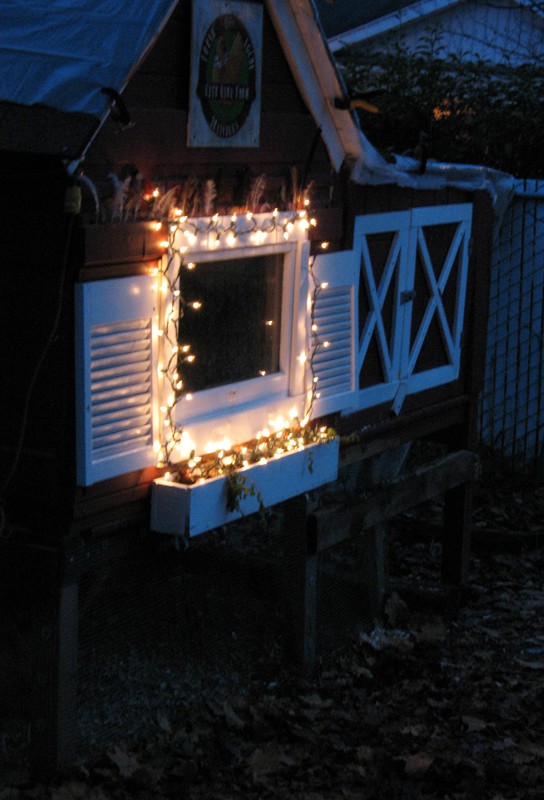 Decorating for the holidays...even the girls enjoy it.