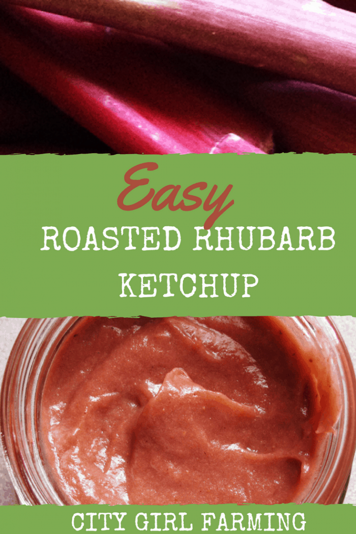 If you love rhubarb, you'll love rhubarb ketchup! And it's easy to make to boot!