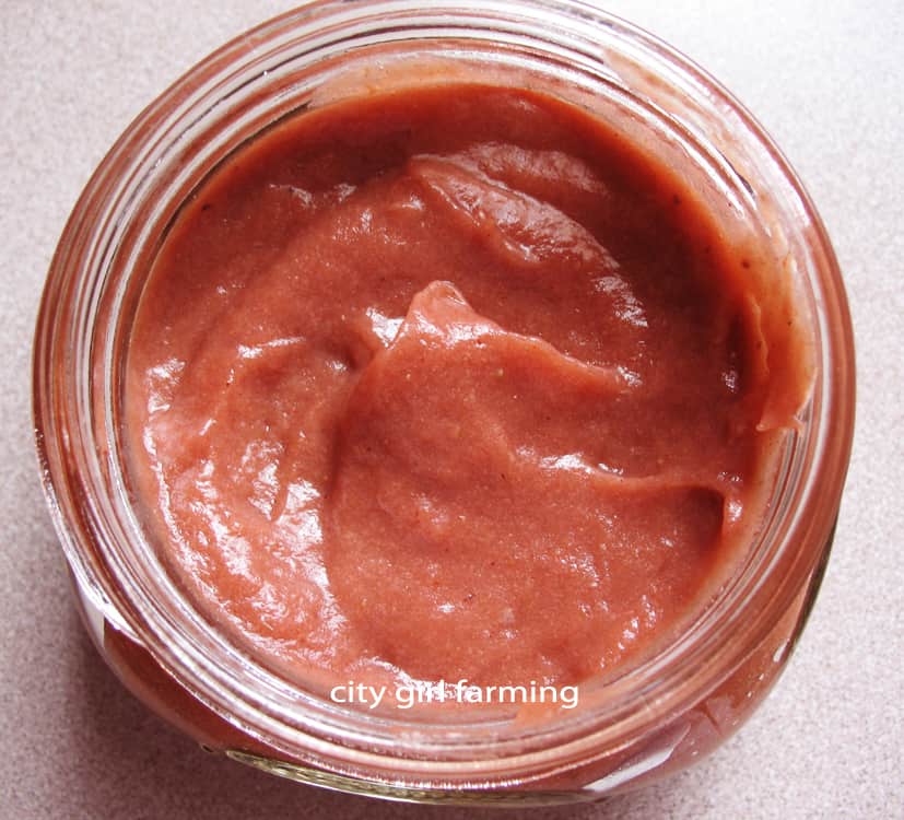 If you love rhubarb, you'll love rhubarb ketchup! And it's easy to make to boot!