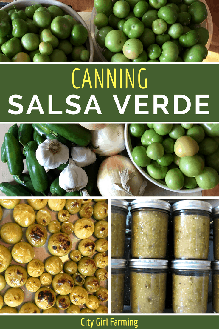 Delicious salsa verde recipe made with fresh garden ingredients. Can, freeze or refrigerate it.