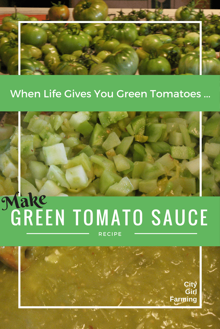 For those times, at the end of gardening season, when you're overflowing with green tomatoes, here's a great recipe (that's very versatile for lots of good food). Easy to make and tasty too! 