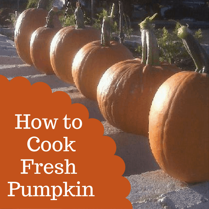 how-to-cookfresh-pumpkin