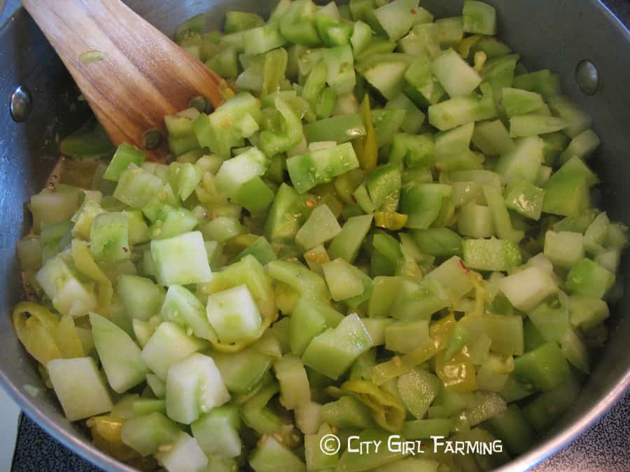 For those times, at the end of gardening season, when you're overflowing with green tomatoes, here's a great recipe (that's very versatile for lots of good food). Easy to make and tasty too! 