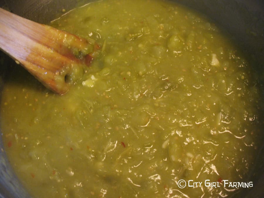 For those times, at the end of gardening season, when you're overflowing with green tomatoes, here's a great recipe (that's very versatile for lots of good food). Easy to make and tasty too! 