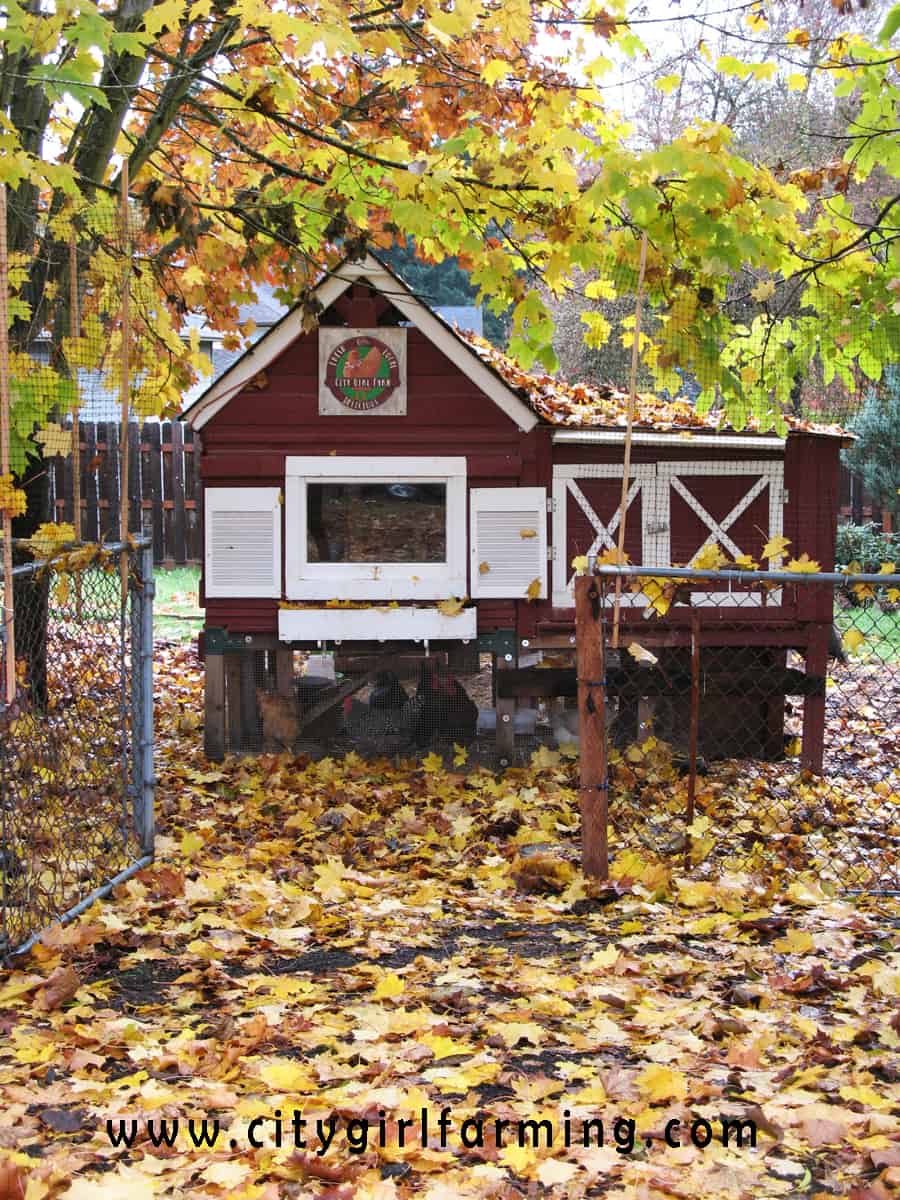 The Gift of Leaves! CITY GIRL FARMING Sustainable Living for