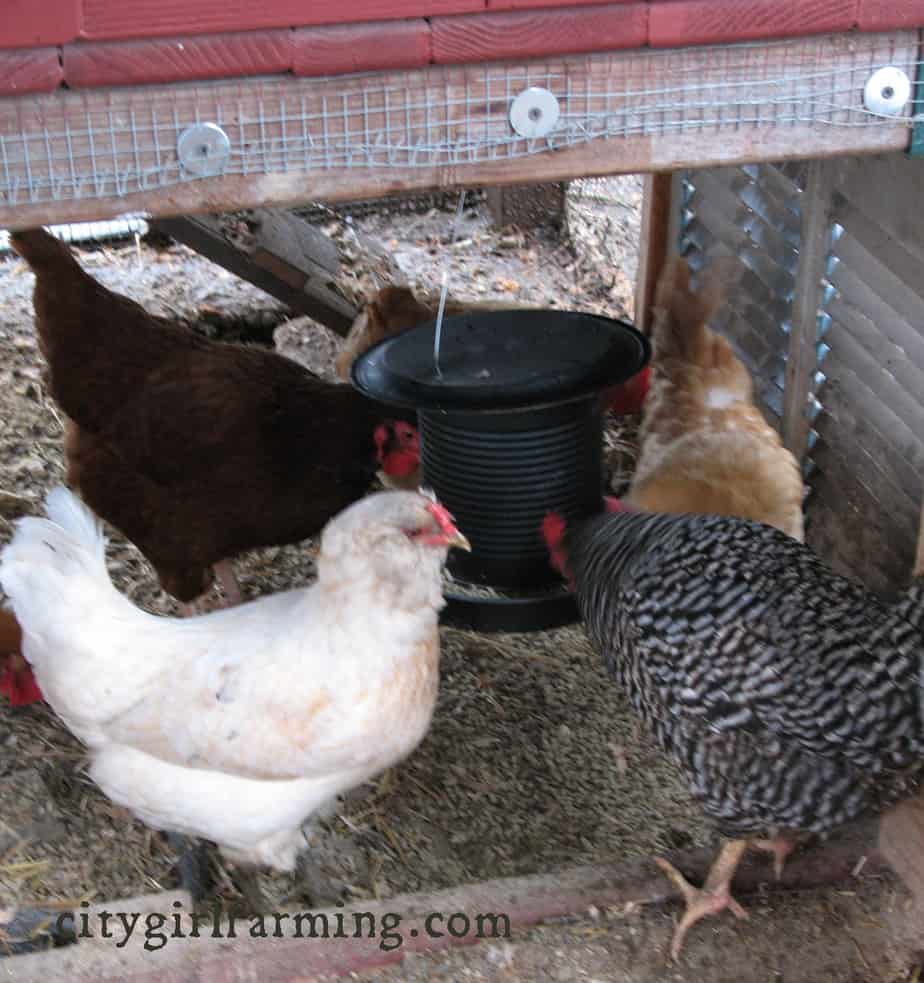Homemade Chicken Feeder - CITY GIRL FARMING