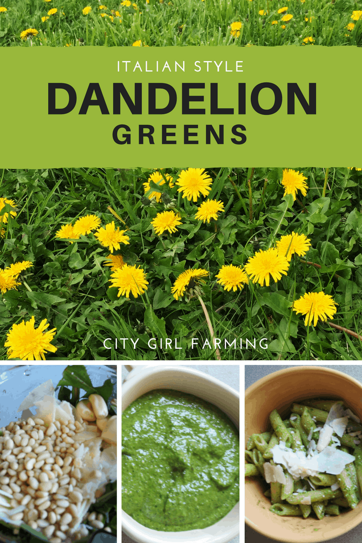 Dandelion Greens