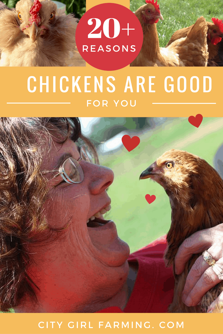20+ Reasons Why Chickens Are Good For You