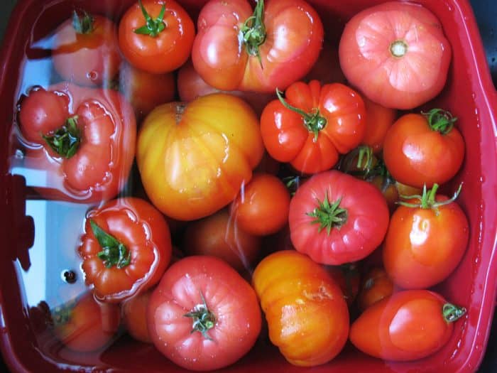 Effortless ways to preserve your tomatoes!
