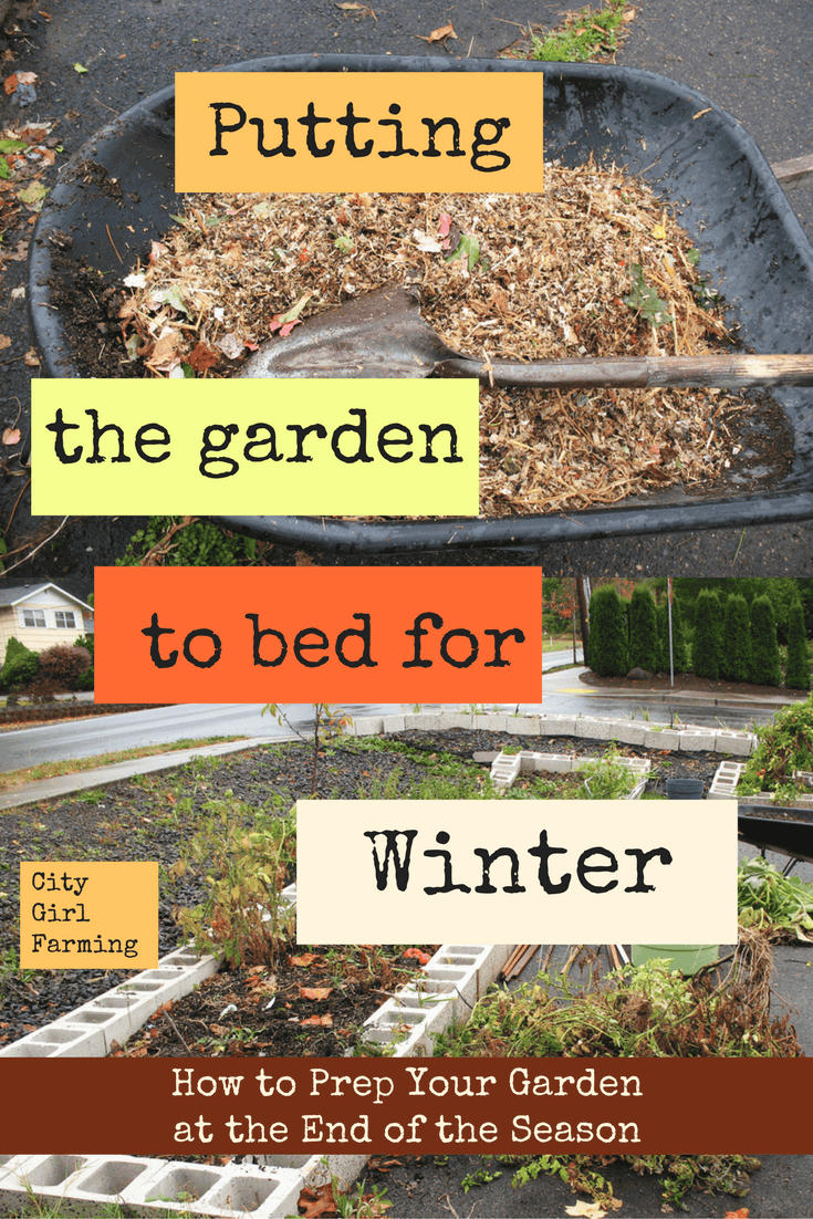 Winter Prep garden: Tips on getting your garden spaces ready for winter