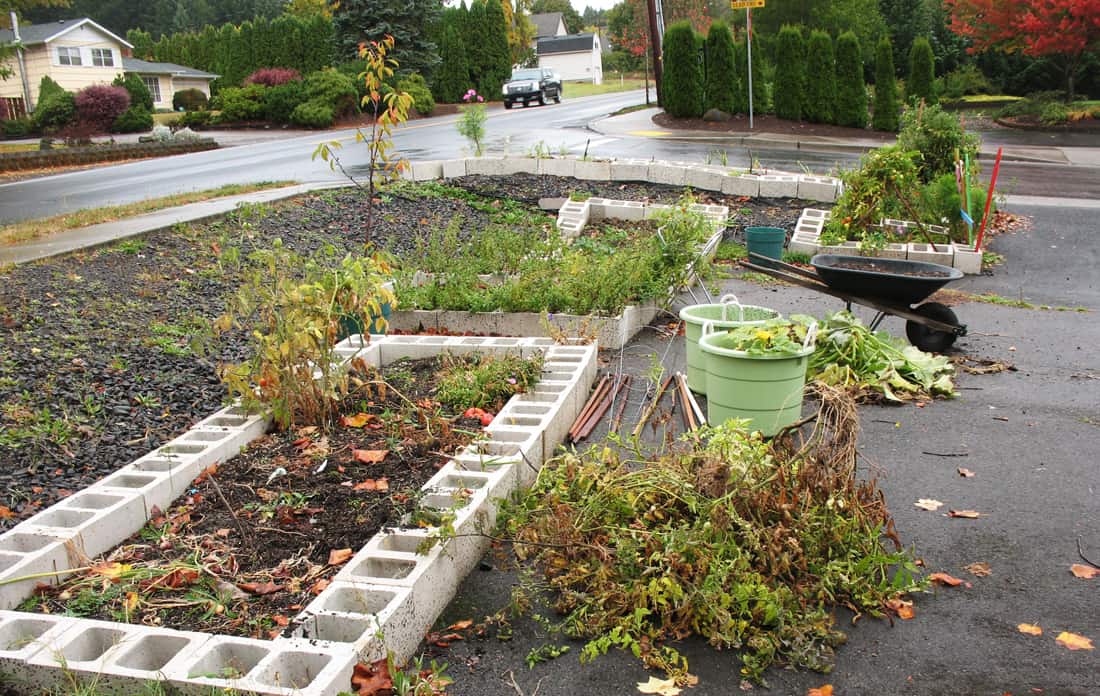 Winter prep the garden to give yourself a head start next spring