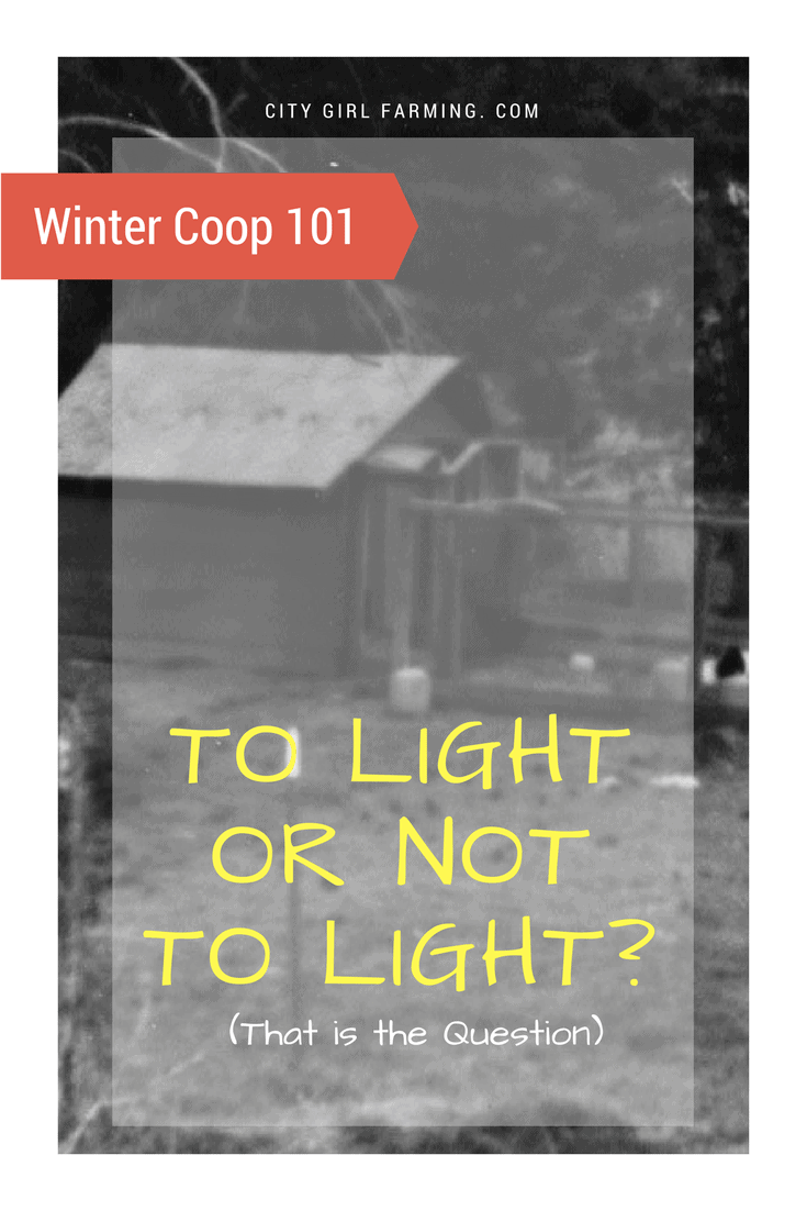 To light or not to light your coop? A common sense approach.