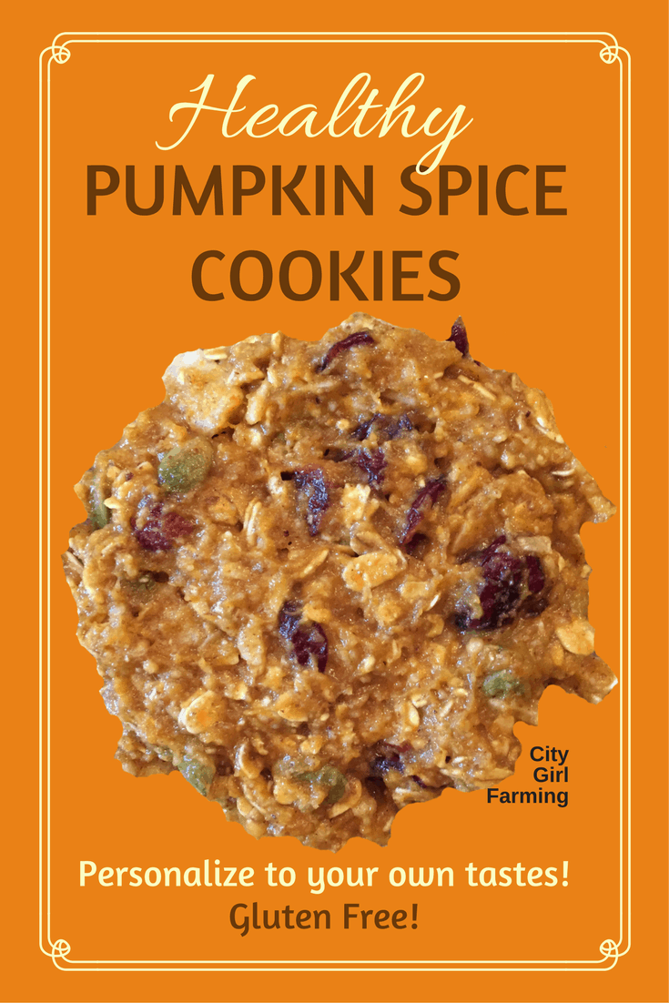 Next time you crave something sweet (but GF) and pumpkin-spicy, here's a great cookie recipe that is easy to personalize to your own cravings and likes: Healthy Pumpkin Spice Cookies. Mmmmm.