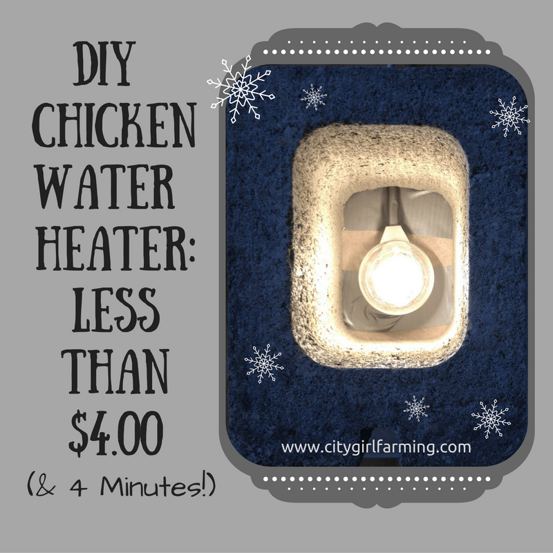 DIY Chicken Water Heater – The Reaganskopp Homestead