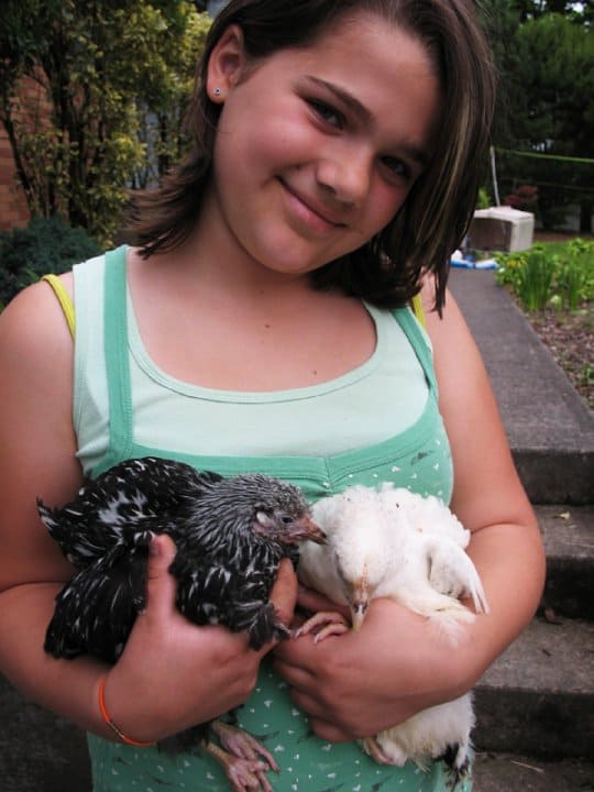 Jordan with some of 'her' chicks that later became MINE.