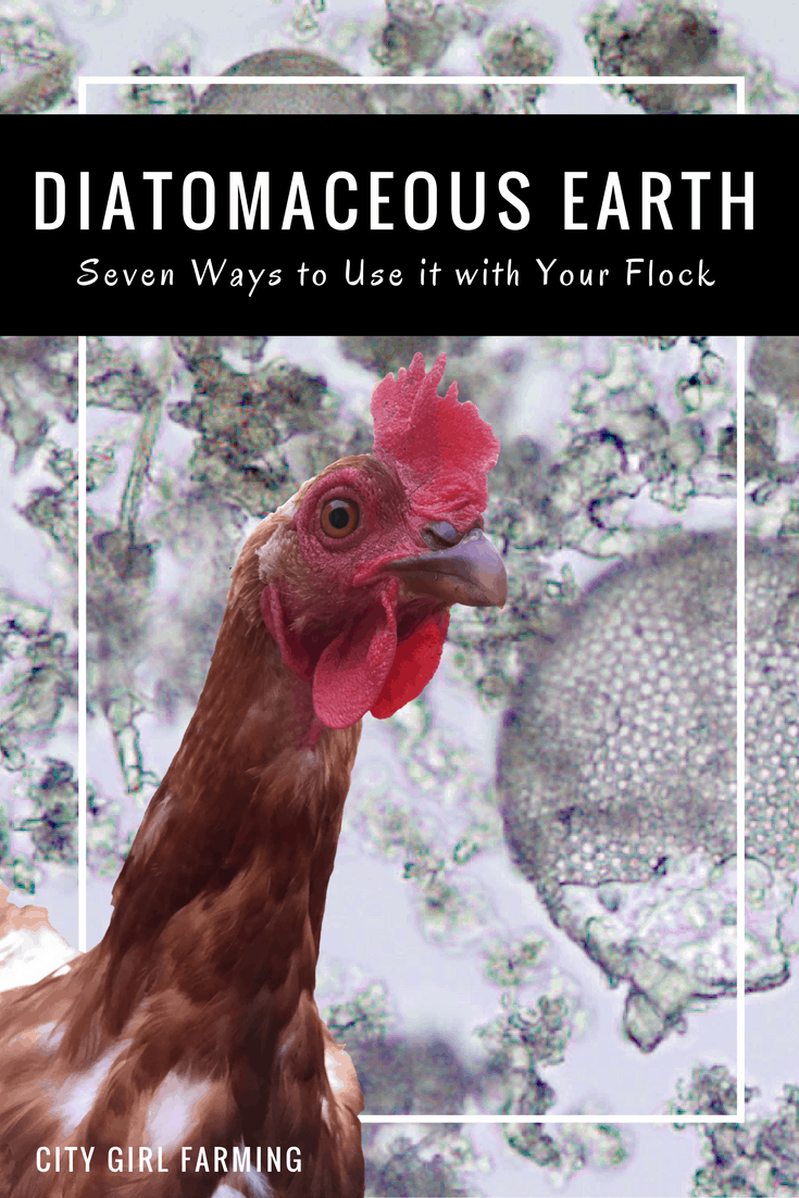 Diatomaceous Earth