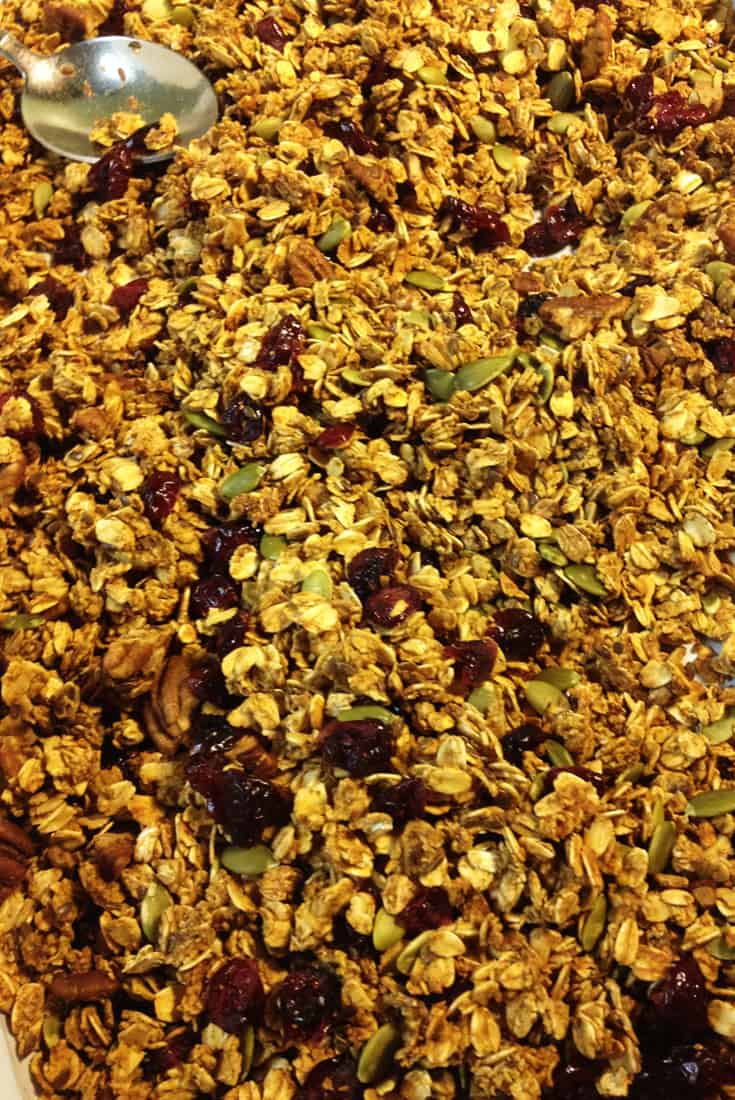 Pumpkin Granola Close Up | City Girl Farming