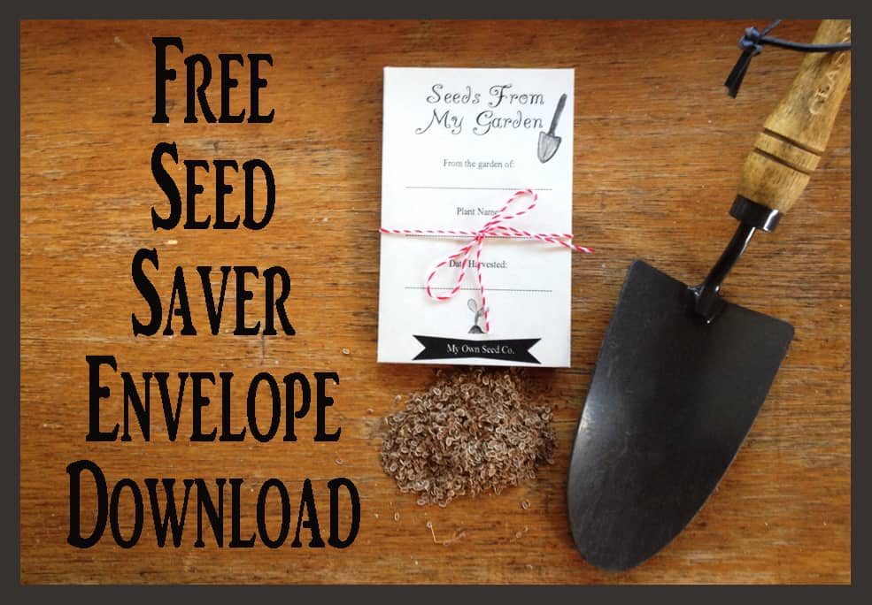 Free Seed Packet Download for saving your own seeds | City Girl Farming