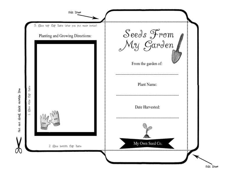 Seed Packets Seed Envelopes Seed Packet Template Seed Storage Printable Seed  Packets Seed Saving Envelopes Seed Packet Printable 