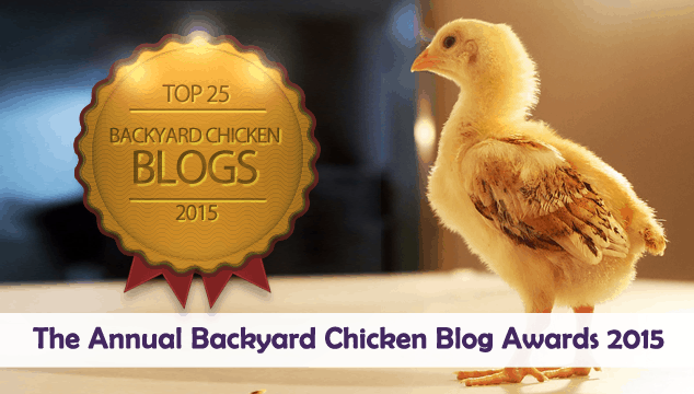 Chicken-Blog-Contest