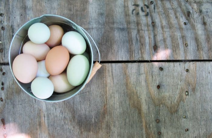 Hens are great at laying eggs. Except when they're not. Here's 12 reasons they might stop laying eggs so you can problem solve how to help them.