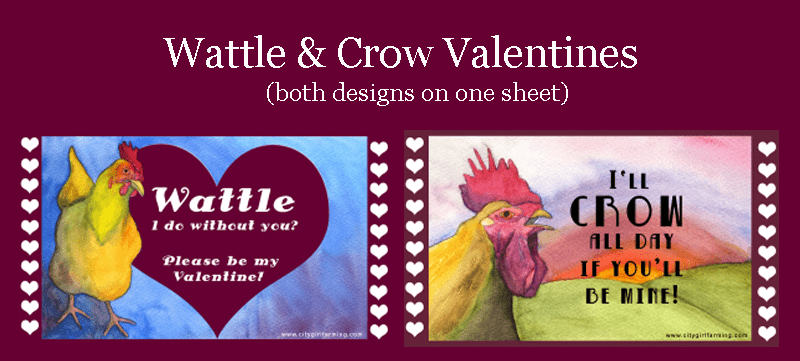 Wattle-Crow-Valentine-Banner