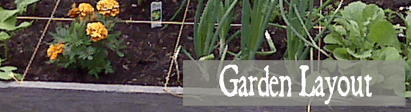 Layout-Garden-800