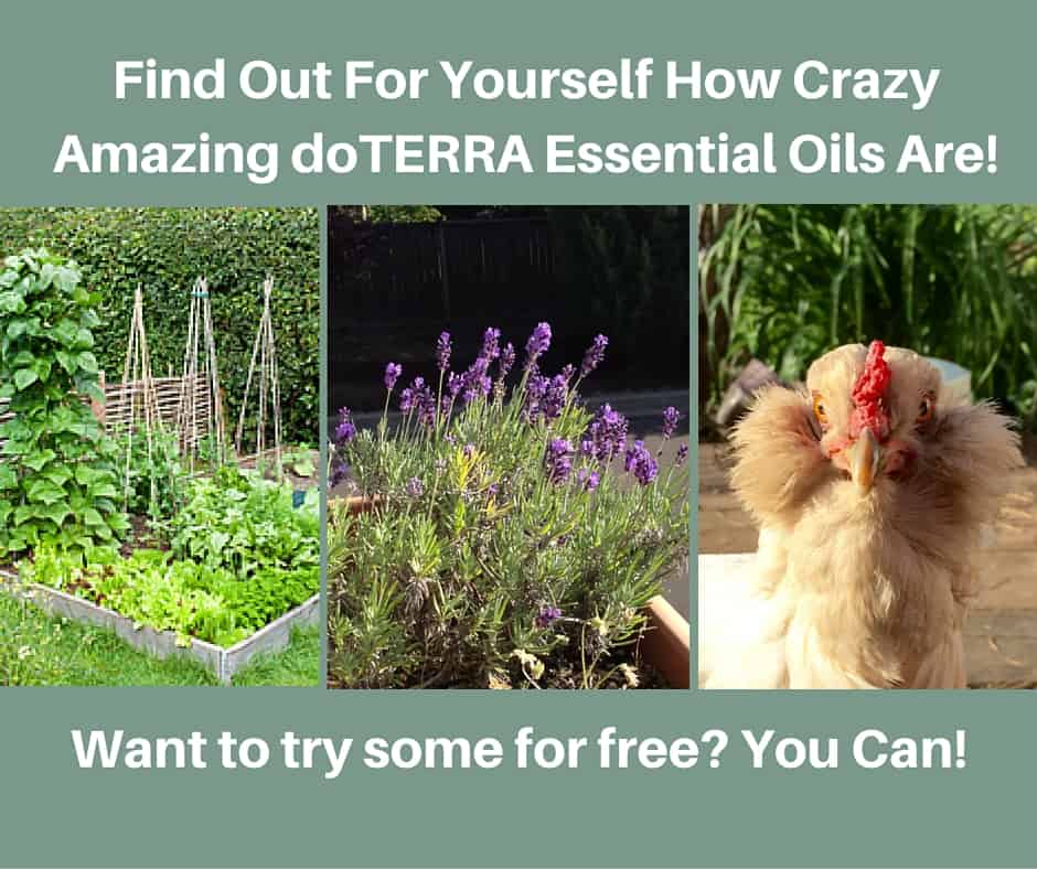Find Out For Yourself How Crazy Amazing doTERRA Essential Oils Are!