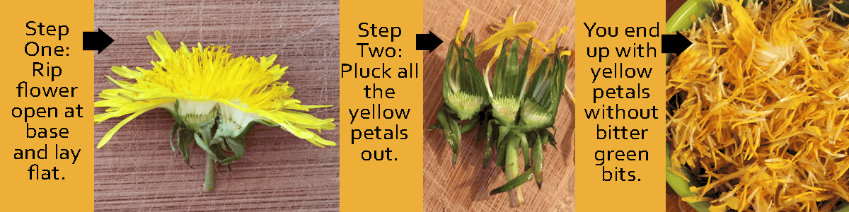 How-to-Pluck-dandelions