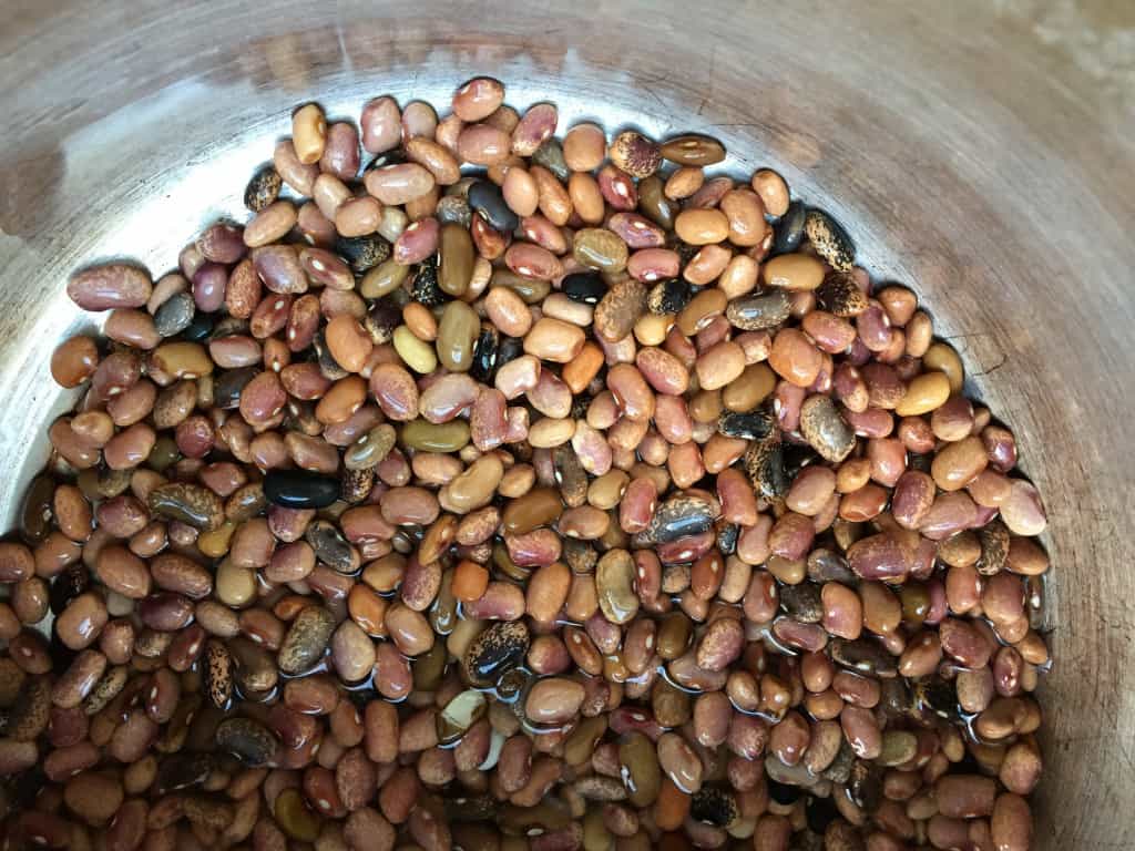 Pebble Beans