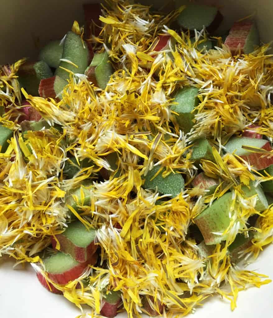 prepped-dandelion-rhubarb-for-pie