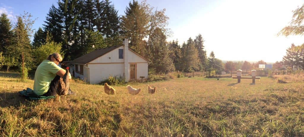 bean-farm-pano