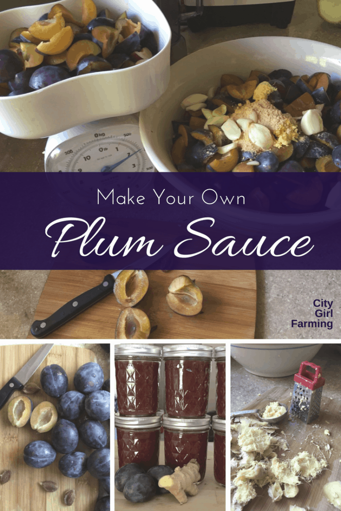 Make Your Own Simple Asian Plum Sauce with Fresh Plums