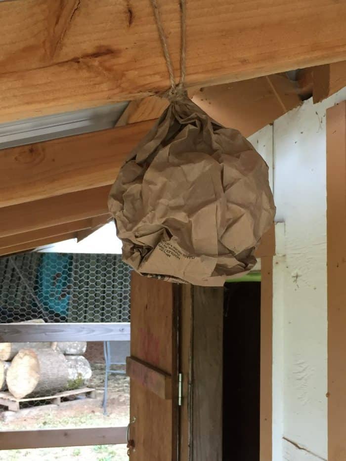 fake-wasp-nest