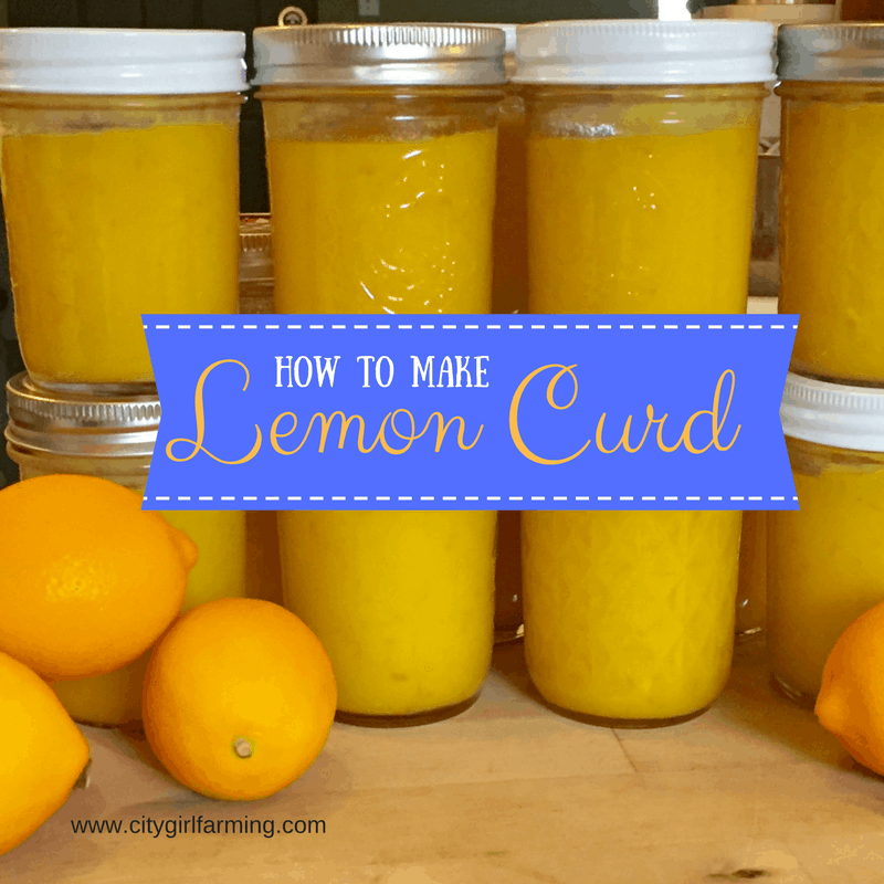 lemon-curd