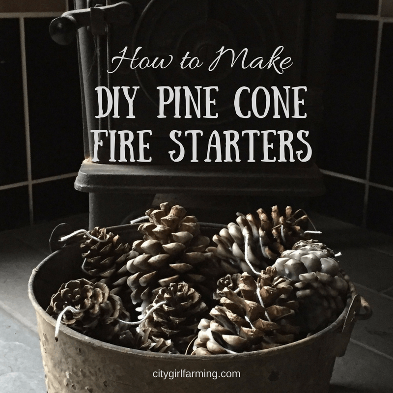 diy-pine-cone-fire-starters