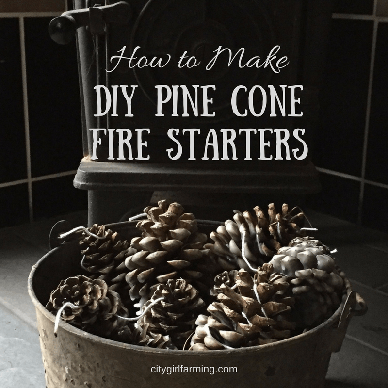 How To Make Diy Pine Cone Fire Starters City Girl Farming