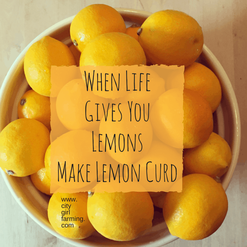 when-lifegives-youlemonsmake-lemon-curd