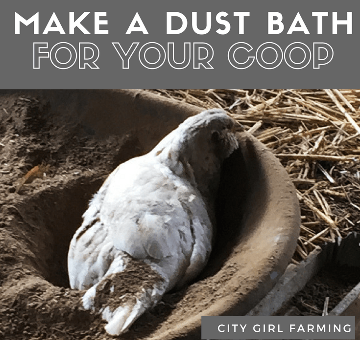 Dust bath Small
