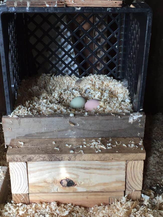 milk-crate-nest-box