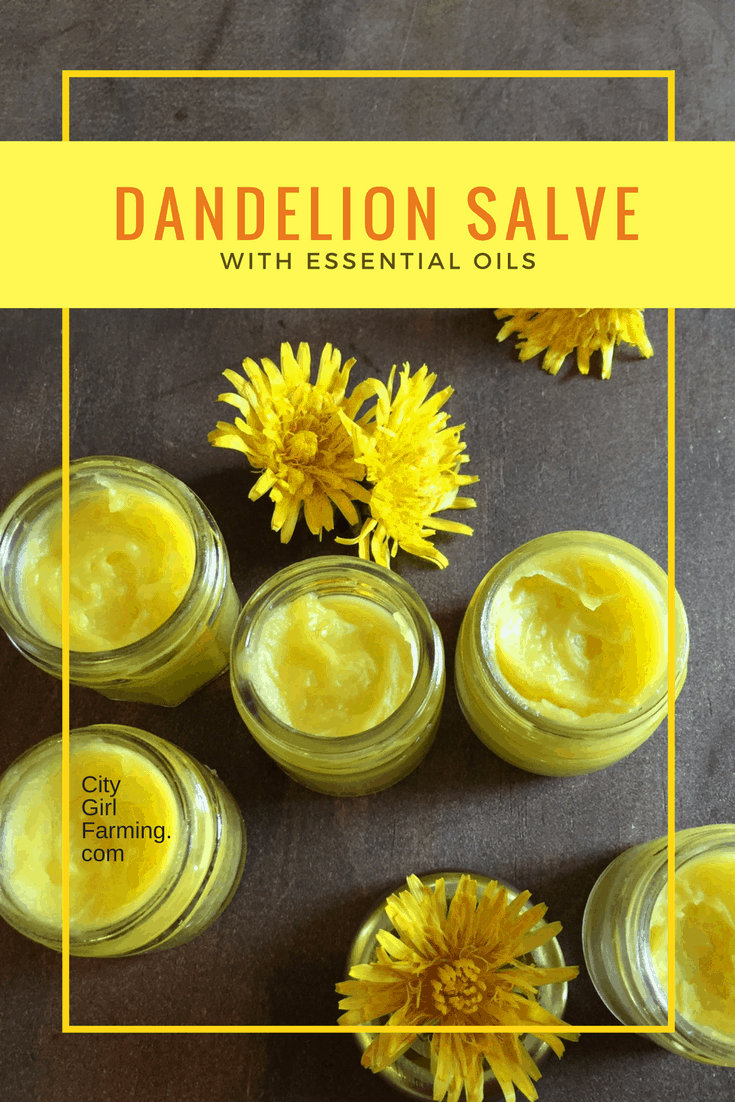 how to make dandelion salve with essential oils