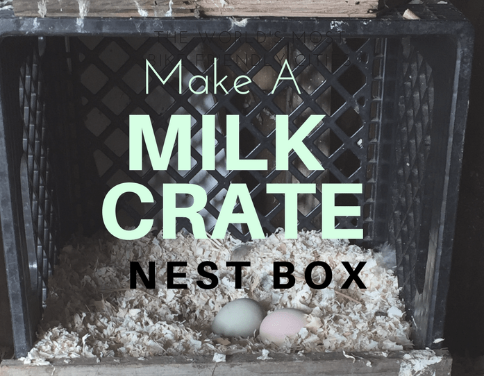 Make a nest box out of a milk crate in just a few minutes and a few scraps!