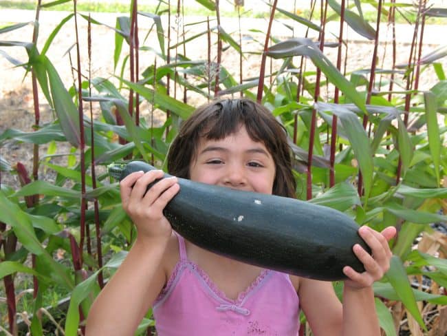 Planting a themed-garden with your kids is a great way to get them excited about gardening...the possibilities are endless....