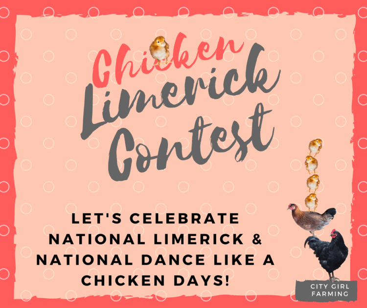 Write a chicken limerick to celebrate National Limerick Day and National Dance Like a Chicken Day....and win a personalized mug with YOUR WINNING limerick on it!