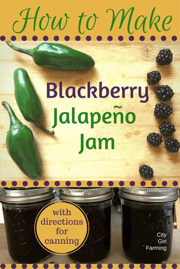 Blackberry Jalapeno Jam is a nice twist on the old fruit jam. A little kick and jalapeno flavor makes it great for meats, sauces and dips.