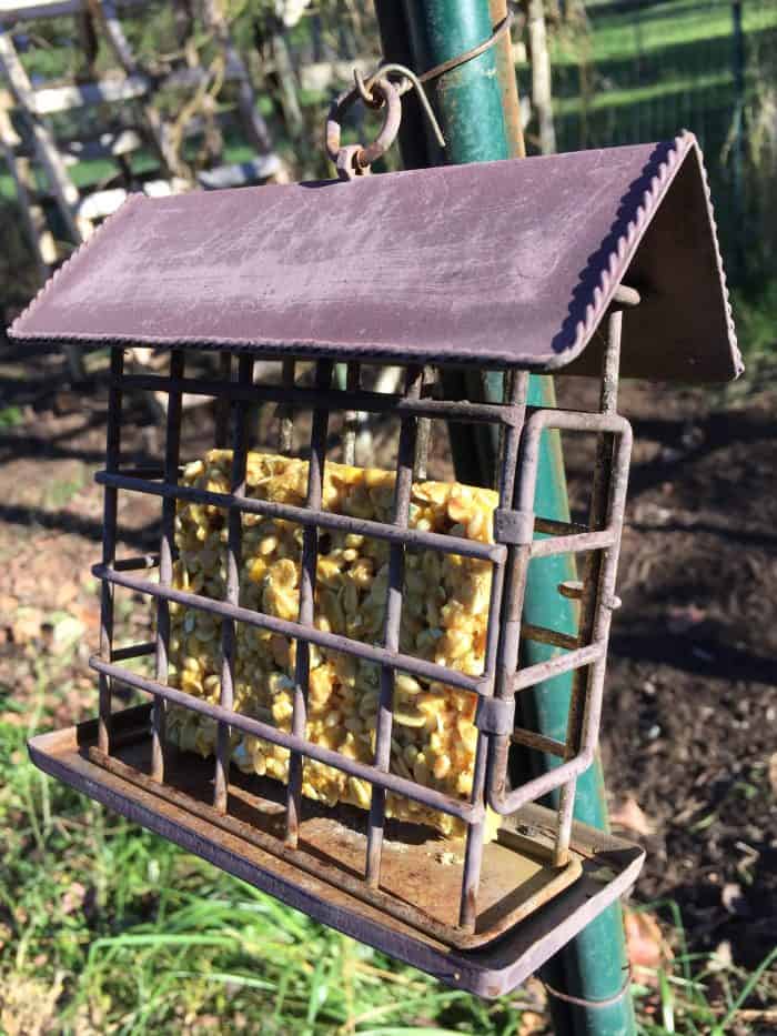 Make your own suet cakes for your chickens (and wild birds) this winter. It will help keep them healthy and warm and even help boost their egg production! They're easy to make and don't require any special ingredients!