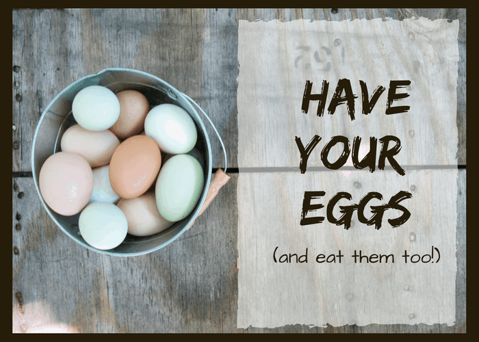 If you've got young or old chickens, you maybe be wondering how to tell if you're chickens are laying. Here are over a dozen clues to help you figure out the mystery of egg laying!