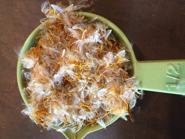 Dandelion season is short and yet there are so many good things to make with dandelions--dandelion lip balm is one of them. This recipe is both easy and fun to make and the results work and taste great!