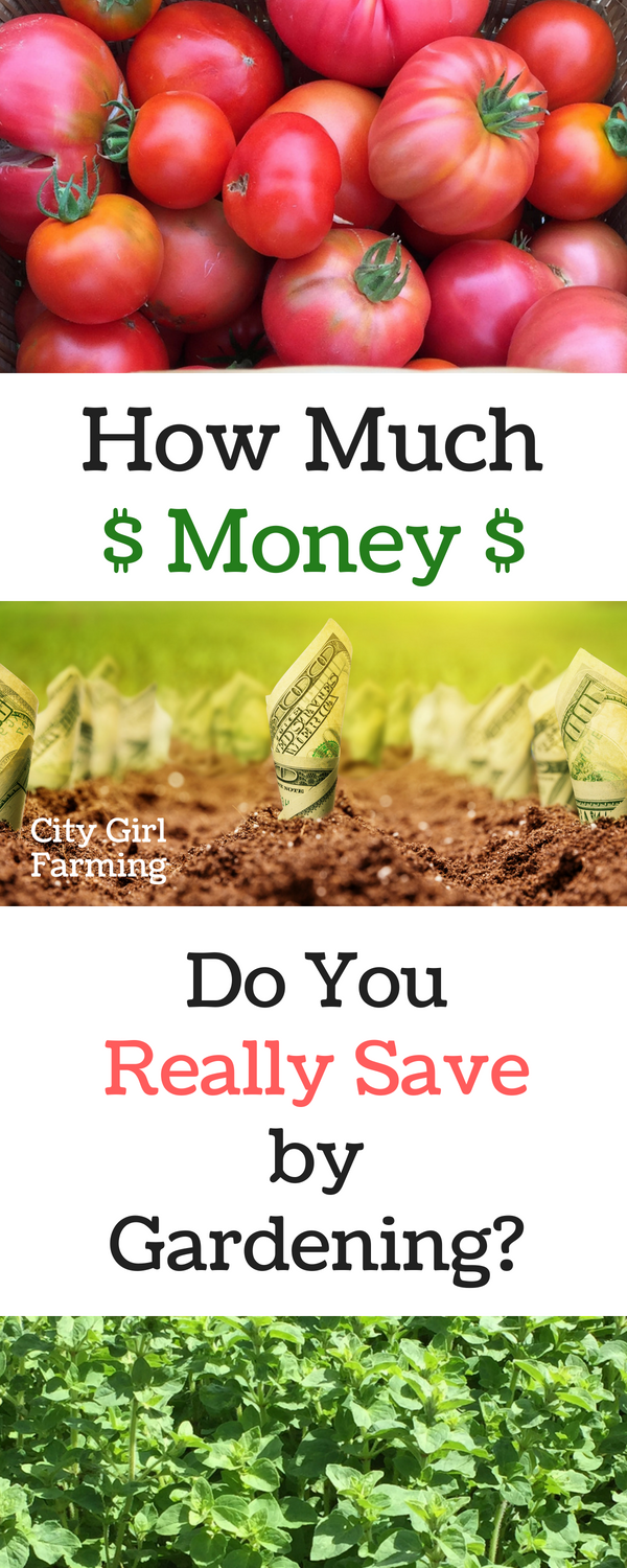 A garden sounds like a great way to save money, right? Maybe until you start buying everything you need to grow your own food....then you might start wondering how much you really save by gardening? I wondered the same thing last year so I decided to keep track and find out just how much I was saving. The results were pretty amazing. 